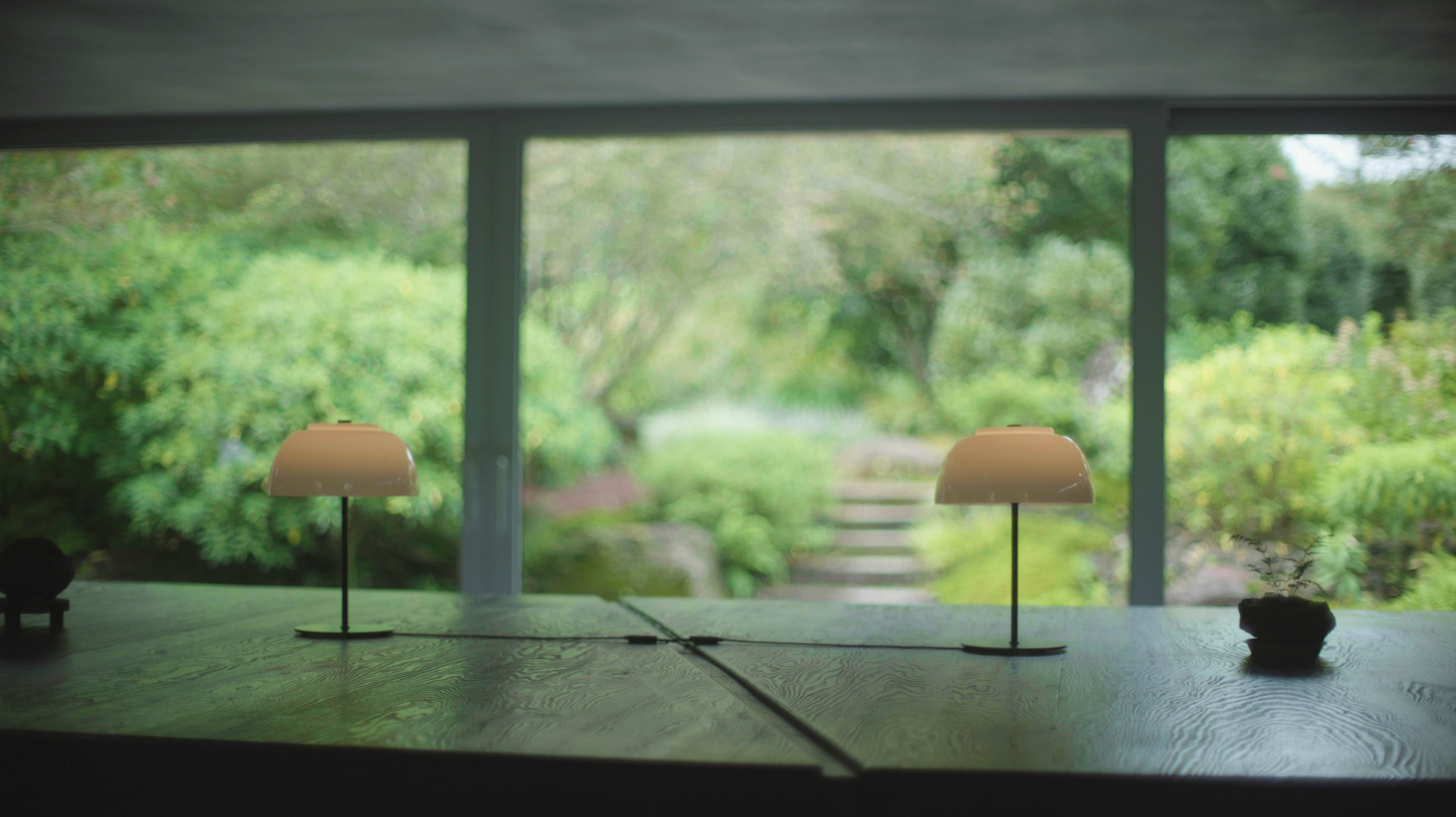 가시림 카페에서 바라본 곶자왈 정원