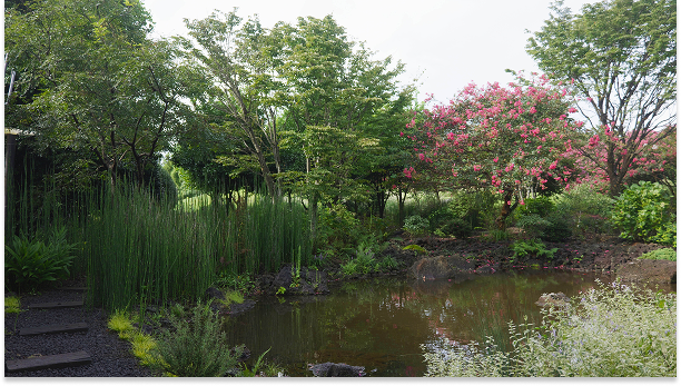 Mainpage 이미지 1