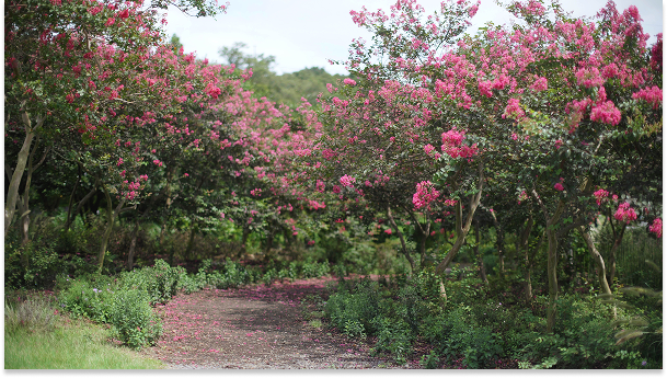 Mainpage 이미지 10