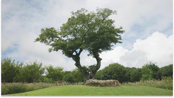 Mainpage 이미지 12