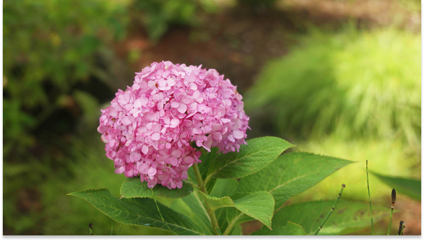 Mainpage 이미지 13