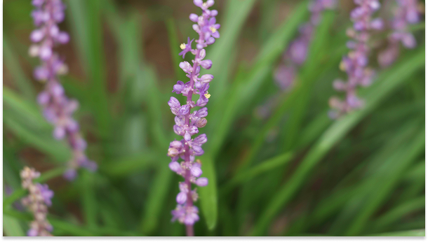 Mainpage 이미지 14