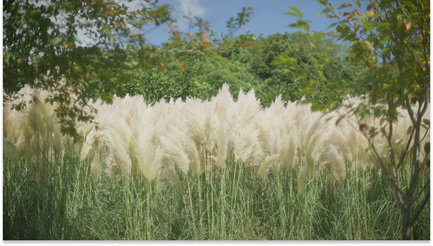 Mainpage 이미지 15