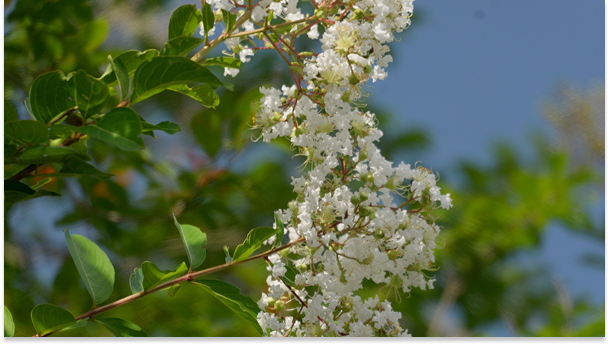 Mainpage 이미지 16