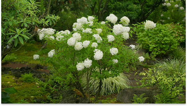 Mainpage 이미지 17