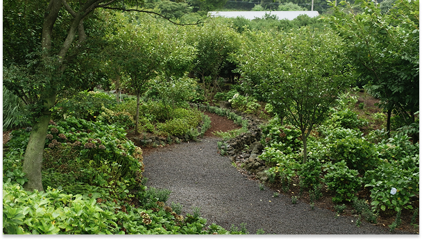 Mainpage 이미지 18