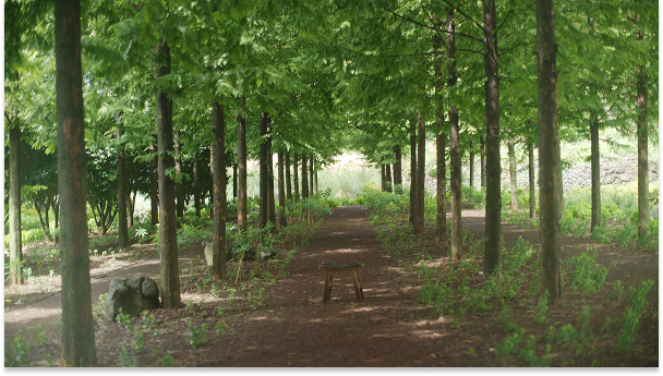 Mainpage 이미지 2