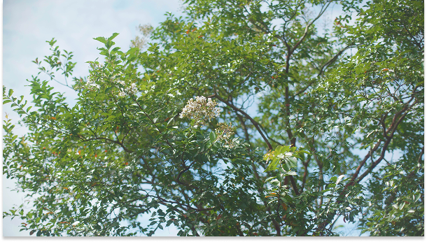 Mainpage 이미지 3