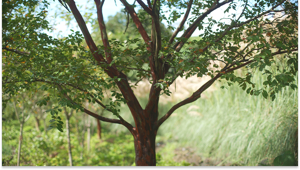 Mainpage 이미지 4