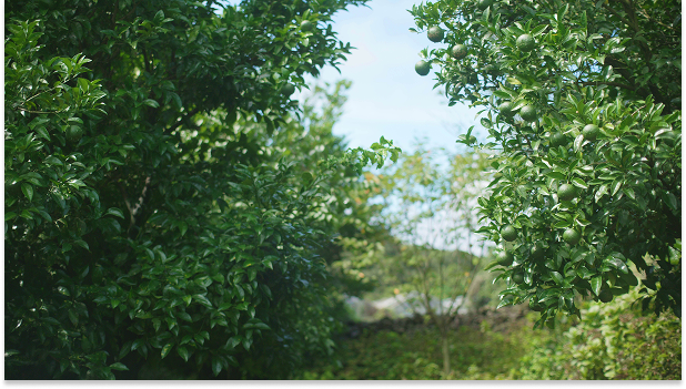 Mainpage 이미지 5