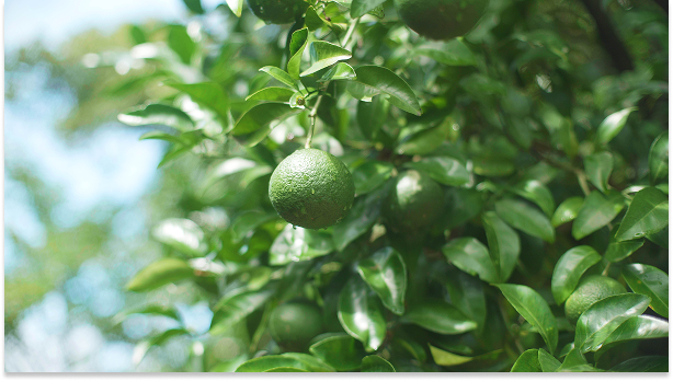 Mainpage 이미지 6