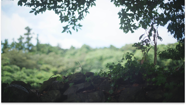 Mainpage 이미지 7