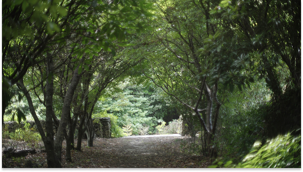 Mainpage 이미지 8