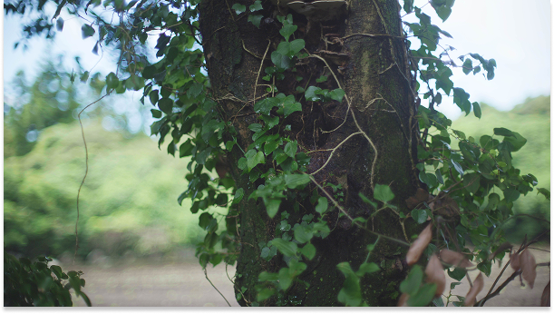 Mainpage 이미지 9